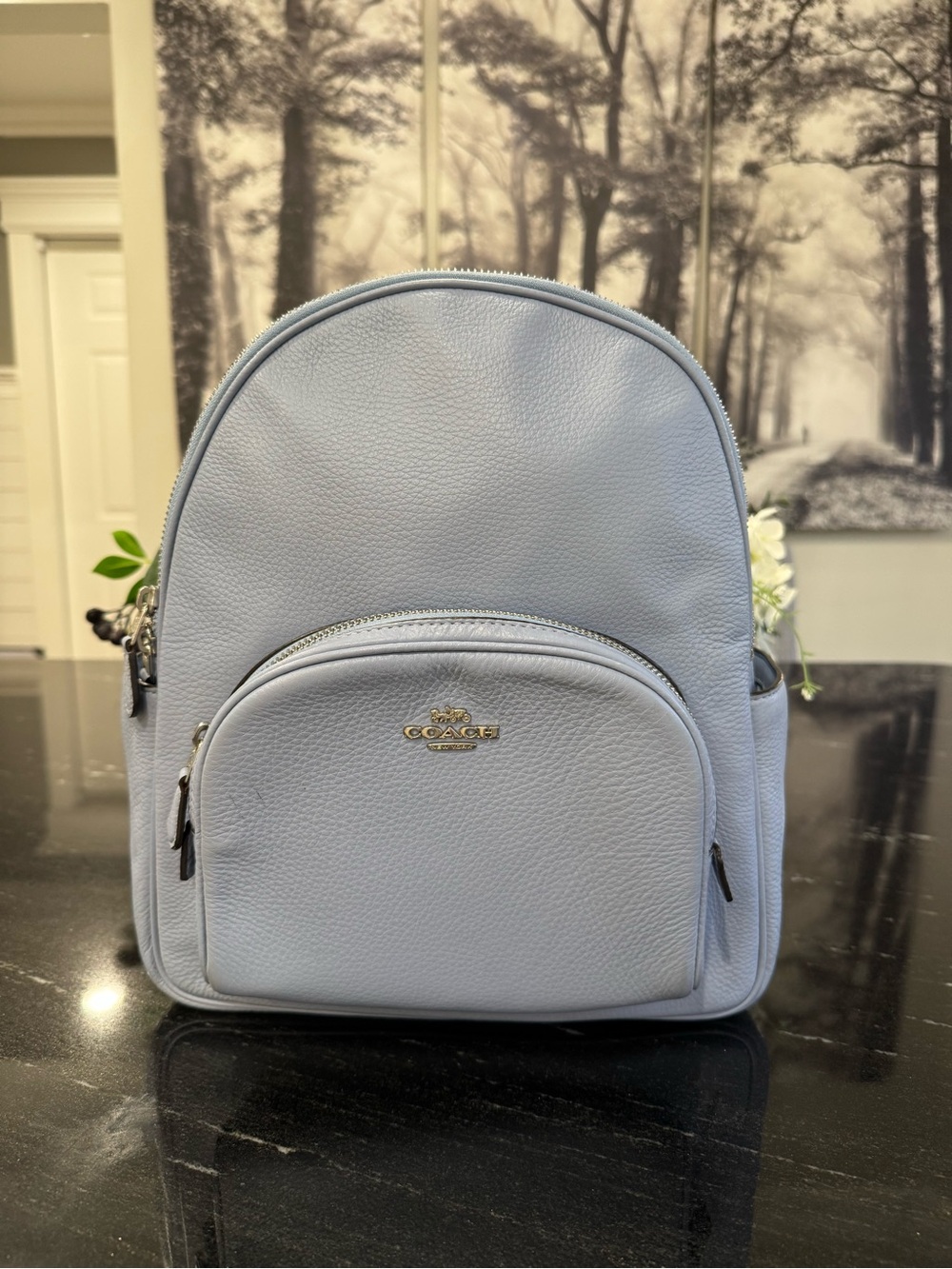 🩵 Court Backpack in Twilight Blue Pebble Leather Backpack style #5666